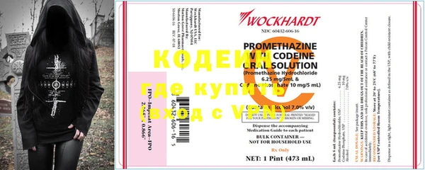 прущие крисы Бородино