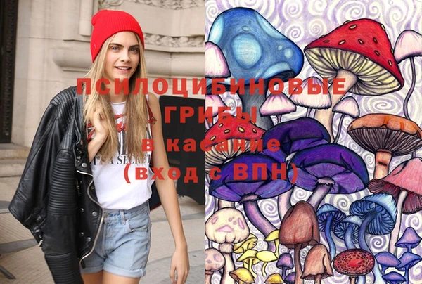 прущие крисы Бородино