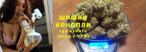 прущие крисы Бородино